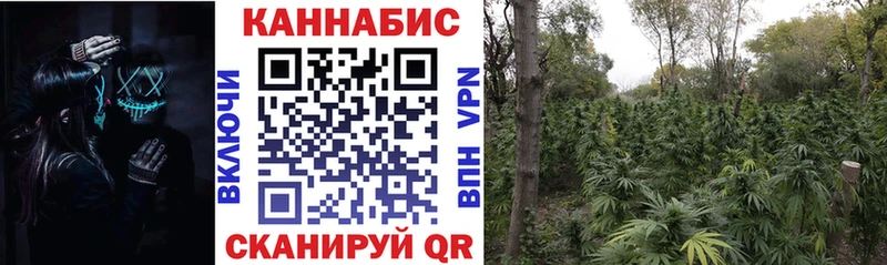 Марихуана план  даркнет какой сайт  Юрьевец 